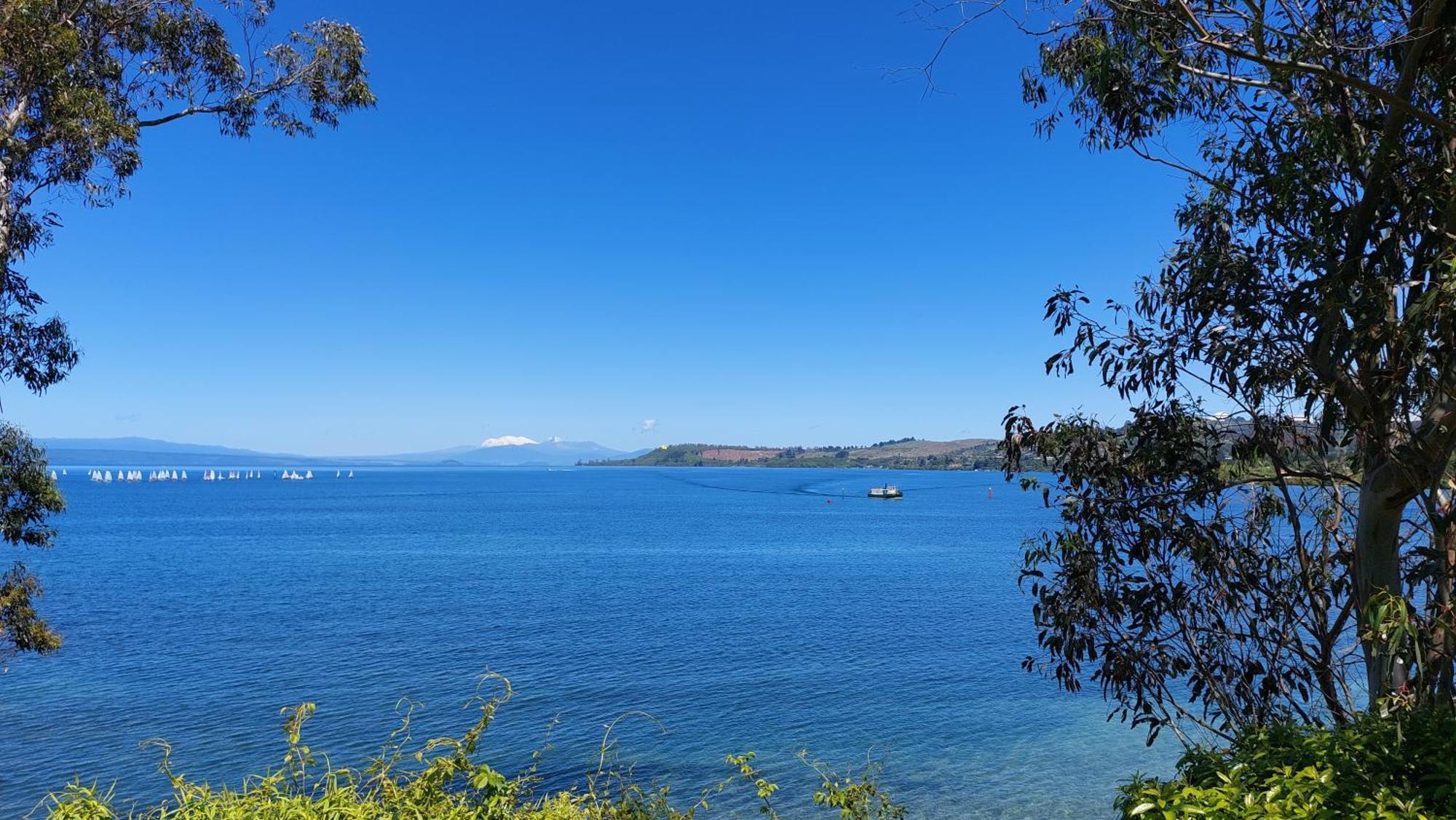 Bed And Breakfast Happy Home Taupo Accommodation Dış mekan fotoğraf